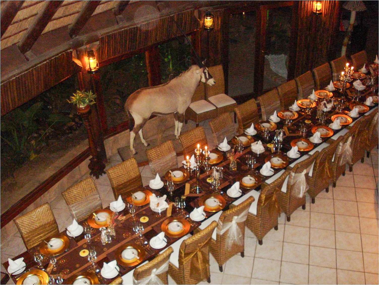 Ditholo Game Lodge Bela Bela Exterior foto
